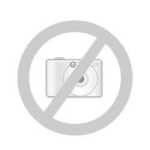 Thomaz P. Bruno ganhador do prêmio HORNET 600